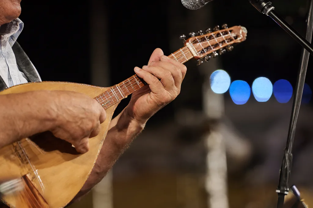 Elazığ’da Yerel Müzik ve Halk Oyunları Etkinliği Düzenlendi