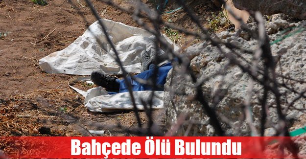 Adıyaman’da Yaşlı Adam Bahçede Ölü Bulundu