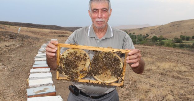 Keven Balında Üretim Yüzde 70 Düştü