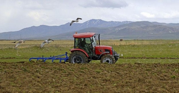 Köyüne dönen gençlere karşılıksız 30 bin TL