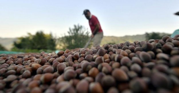 Yarım Asırlık Hayal Gerçek Oluyor!
