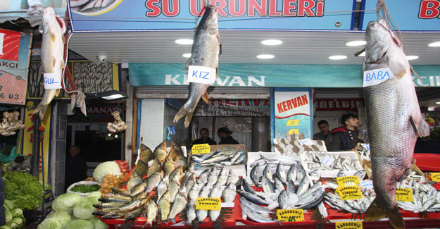 Kebanın Devleri Balıkçıların Yüzünü Güldürüyor