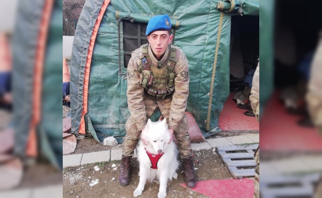 Elazığ’a Şehit Ateşi Düştü