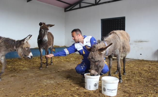 O Eşeğe Koruma…