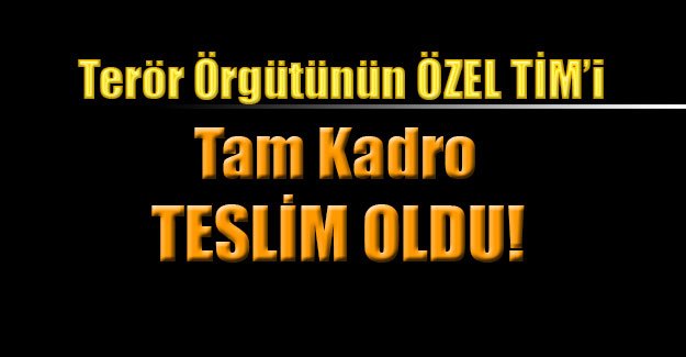 Terör Örgütünün ‘Özel Tim’i Tam Kadro Teslim Oldu